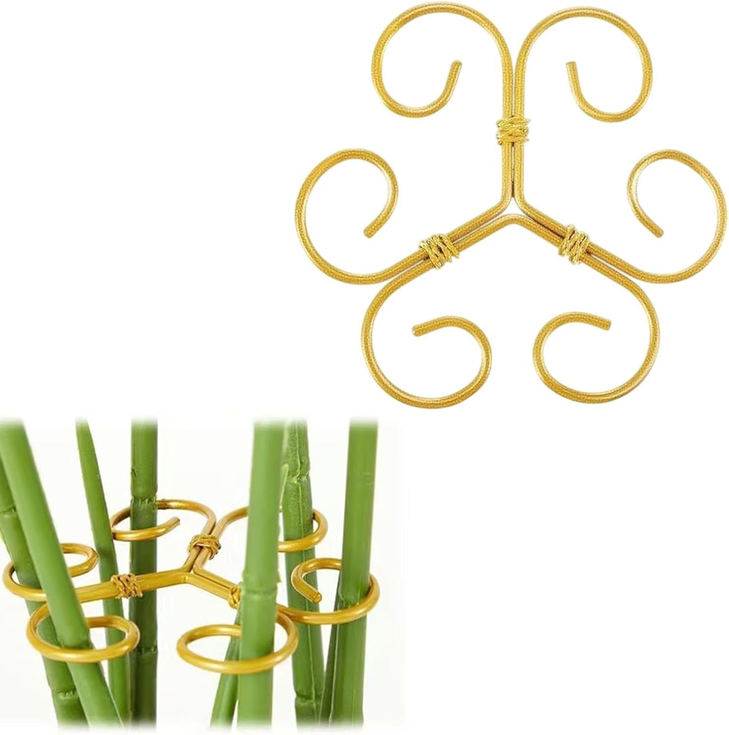 61TL4LdLaoL._AC_SL1500_.jpg 61TL4LdLaoL. AC SL1500 - metamateshop.de